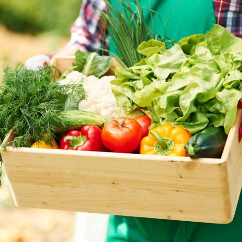 Care for organic vegetables